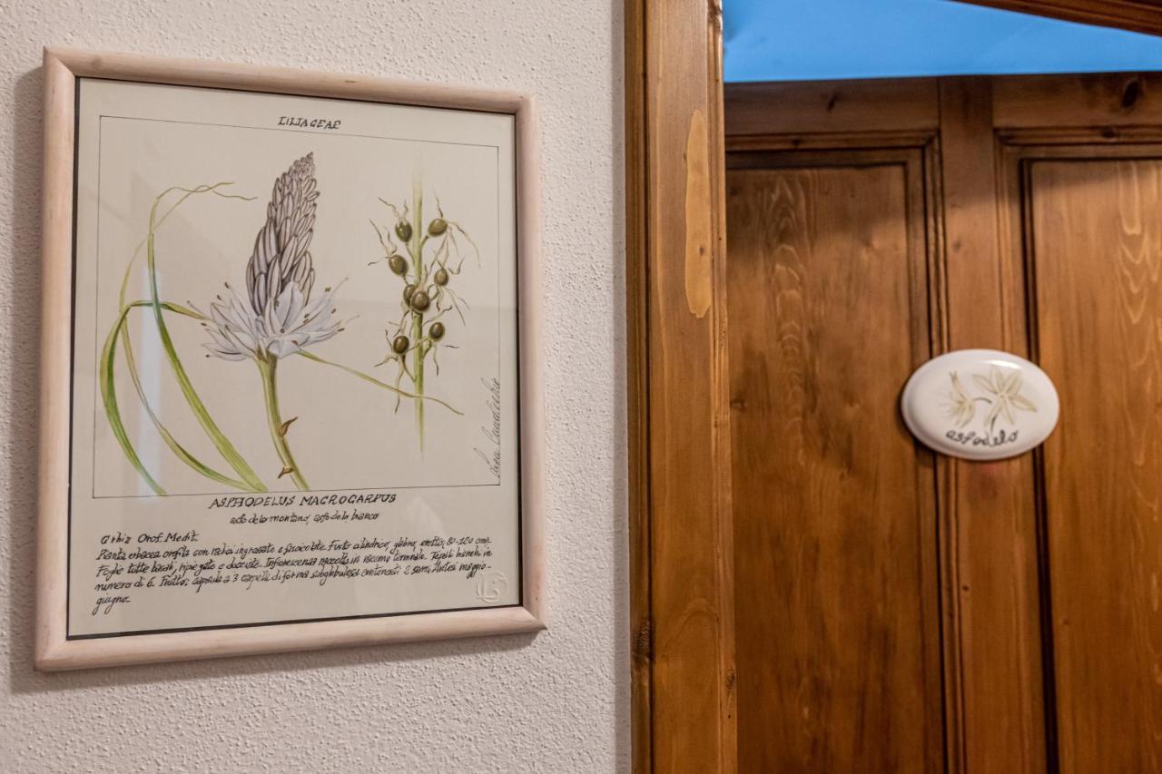 La Locanda Di Adele - Il Giardinetto B&B Scarperia Exteriör bild